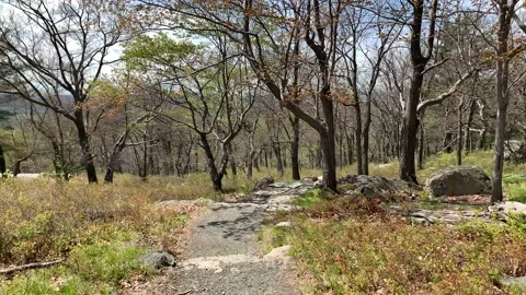 Bear Mountain State Park During Coronavirus Pandemic 4k 60fps Stock-Footage 130934573