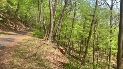 Bear Mountain State Park During Coronavirus Pandemic 4k 60fps Video stock 130934603