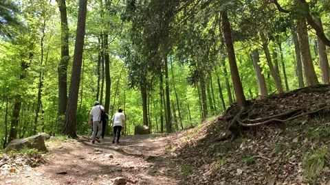 Bear Mountain State Park During Coronavirus Pandemic 4k 60fps Stock Footage 130934681