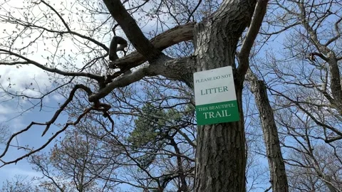 Bear Mountain State Park During Coronavirus Pandemic 4k 60fps Stock-Footage 130934727