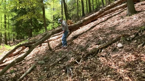 Bear Mountain State Park During Coronavirus Pandemic 4k 60fps Stock Footage 130934728