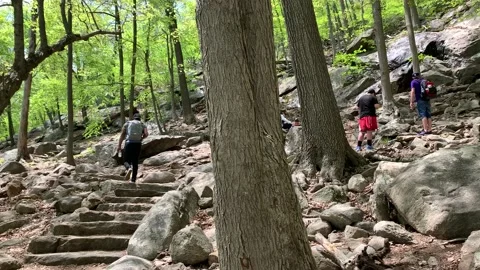 Bear Mountain State Park During Coronavirus Pandemic 4k 60fps Stock Footage 130934748