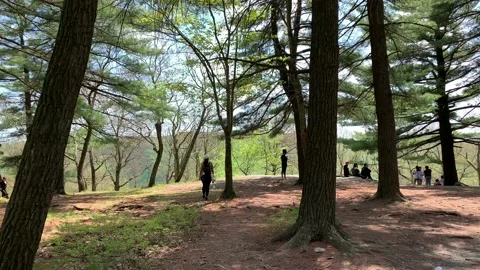 Bear Mountain State Park During Coronavirus Pandemic 4k 60fps Stock Footage 130934749