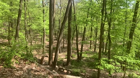 Bear Mountain State Park During Coronavirus Pandemic 4k 60fps Stock Footage 130934777