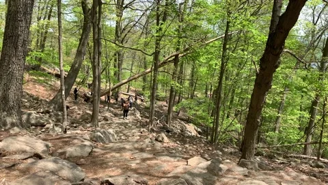 Bear Mountain State Park During Coronavirus Pandemic 4k 60fps Stock Footage 130934780