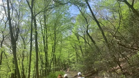 Bear Mountain State Park During Coronavirus Pandemic 4k 60fps Stock-Footage 130934787