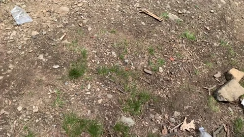 Bear Mountain State Park During Coronavirus Pandemic 4k 60fps Stock-Footage 130934791