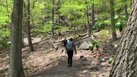 Bear Mountain State Park During Coronavirus Pandemic 4k 60fps Video stock 130934794