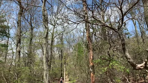 Bear Mountain State Park During Coronavirus Pandemic 4k 60fps Stock Footage 130934803