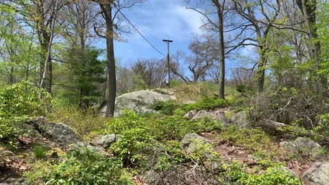 Bear Mountain State Park During Coronavirus Pandemic 4k 60fps Stock Footage 130934851