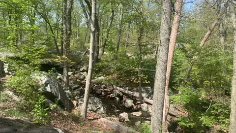Bear Mountain State Park During Coronavirus Pandemic 4k 60fps Stock Footage 130934885