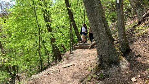 Bear Mountain State Park During Coronavirus Pandemic 4k 60fps Stock Footage 130934979
