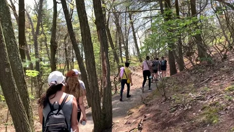 Bear Mountain State Park During Coronavirus Pandemic 4k 60fps Stock Footage 130934995