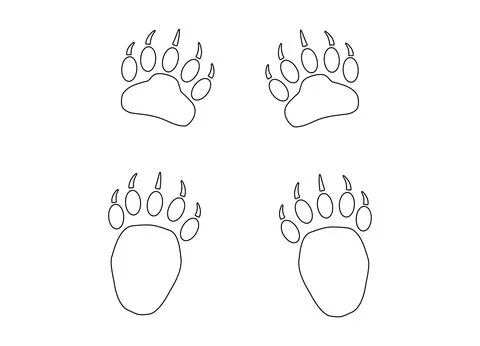 Bear or panda paw footprints with claws. Contour. 4 paws. Black vector Stock Illustration