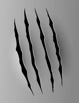 Bear or tiger claw mark. Scratches and torn traces of vector animal paw slashes Stock Illustration
