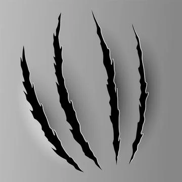 Bear or tiger claw mark. Scratches and torn traces of vector animal paw slashes Stock Illustration