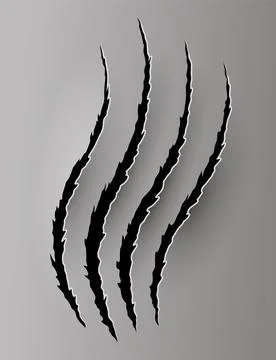 Bear or tiger claw mark. Scratches and torn traces of vector animal paw slashes Stock Illustration
