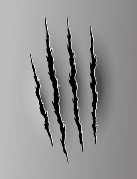 Bear or tiger claw mark. Scratches and torn traces of vector animal paw slashes Stock Illustration
