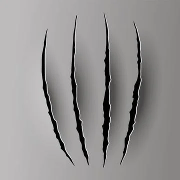 Bear or tiger claw mark. Scratches and torn traces of vector animal paw slashes Stock Illustration