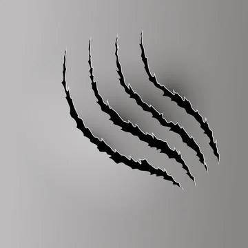 Bear or tiger claw mark. Scratches and torn traces of vector animal paw slashes Stock Illustration