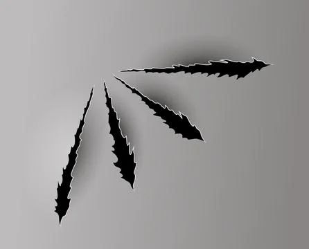 Bear or tiger claw mark. Scratches and torn traces of vector animal paw slashes Stock Illustration