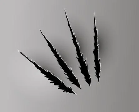 Bear or tiger claw mark. Scratches and torn traces of vector animal paw slashes Stock Illustration