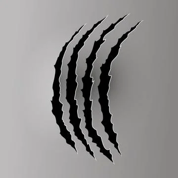 Bear or tiger claw mark. Scratches and torn traces of vector animal paw slashes Stock Illustration