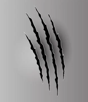 Bear or tiger claw mark. Scratches and torn traces of vector animal paw slashes Stock Illustration