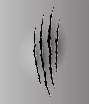 Bear or tiger claw mark. Scratches and torn traces of vector animal paw slashes Stock Illustration