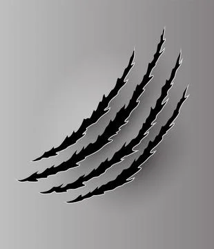 Bear or tiger claw mark. Scratches and torn traces of vector animal paw slashes Stock Illustration