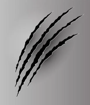 Bear or tiger claw mark. Scratches and torn traces of vector animal paw slashes Stock Illustration