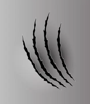 Bear or tiger claw mark. Scratches and torn traces of vector animal paw slashes 스톡 일러스트