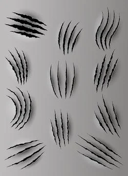 Bear or tiger claw marks. Scratches and torn traces of vector animal paw slashes Stock Illustration