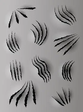Bear or tiger claw marks. Scratches and torn traces of vector animal paw slashes Stock Illustration