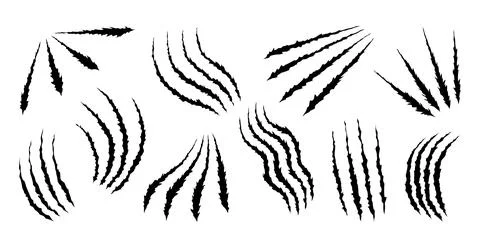 Bear or tiger claw marks. Scratches and torn traces of vector animal paw slashes Stock Illustration