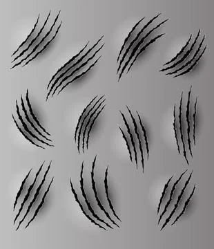 Bear or tiger claw marks. Scratches and torn traces of vector animal paw slashes Stock Illustration