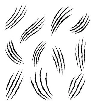 Bear or tiger claw marks. Scratches and torn traces of vector animal paw slashes Stock Illustration