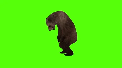 Bear Paraylized Green Sccreen Animation 4k Rendering Stock Footage 296262941