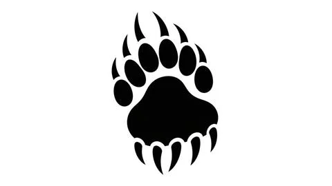 Bear paw print Stock Illustration