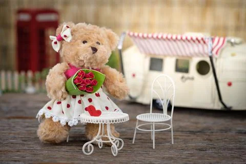 Bear Foto stock