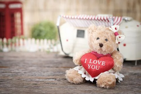Bear Stock Photos