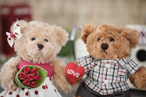Bear Stock Photos