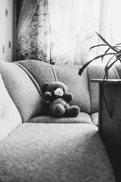 Bear Stock Photos
