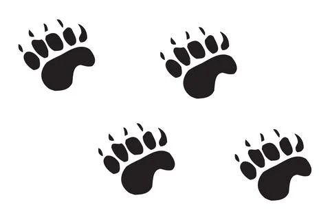 Bear Stock Photos