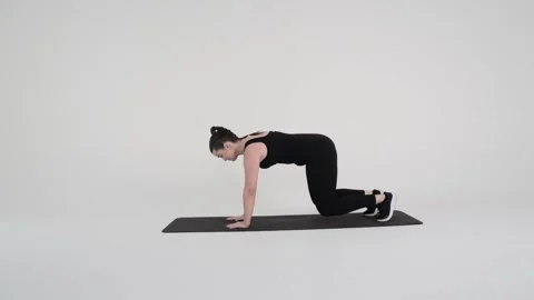 Bear Plank Shoulder Taps Stock Footage 314193904