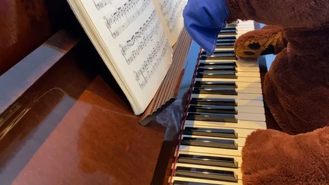 Bear playing piano and reading sheet music during the quarantine 库存影片 128774532