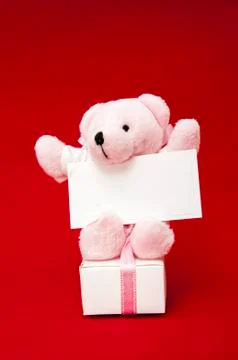 Bear with poster Stock Photos