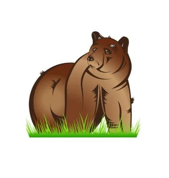 Bear in Prairie Stock Illustration