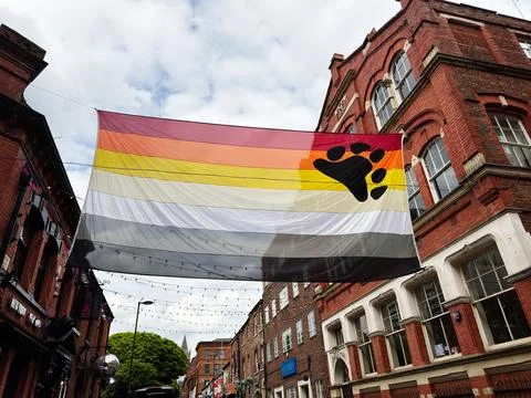 Bear pride flag with paw hanging over a Manchester, UK high street between .. Fotos Stock