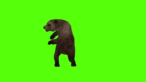 Bear Punch left Green Sccreen Animation 4k Rendering Stock Footage 296262966